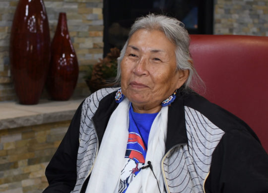 Faith Spotted Eagle, Ihanktonwan Treaty Committee chair and Oceti Ŝakowiŋ Power Authority council of elders member.