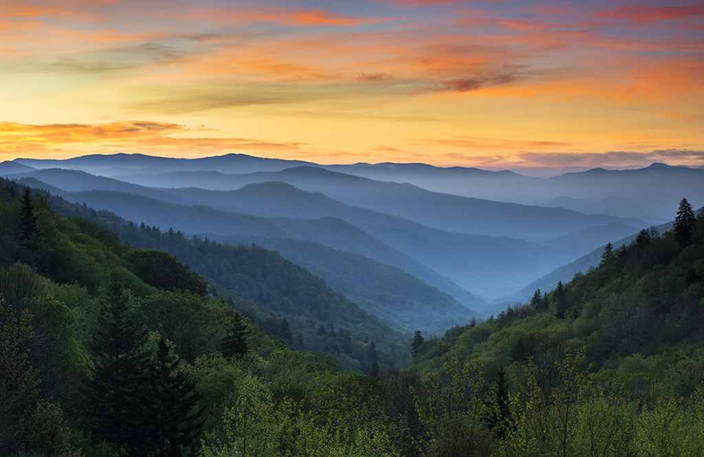 The Charlottesville Renewable Energy Alliance aims to establish Charlottesville as the renewable energy hub of the Southeast.