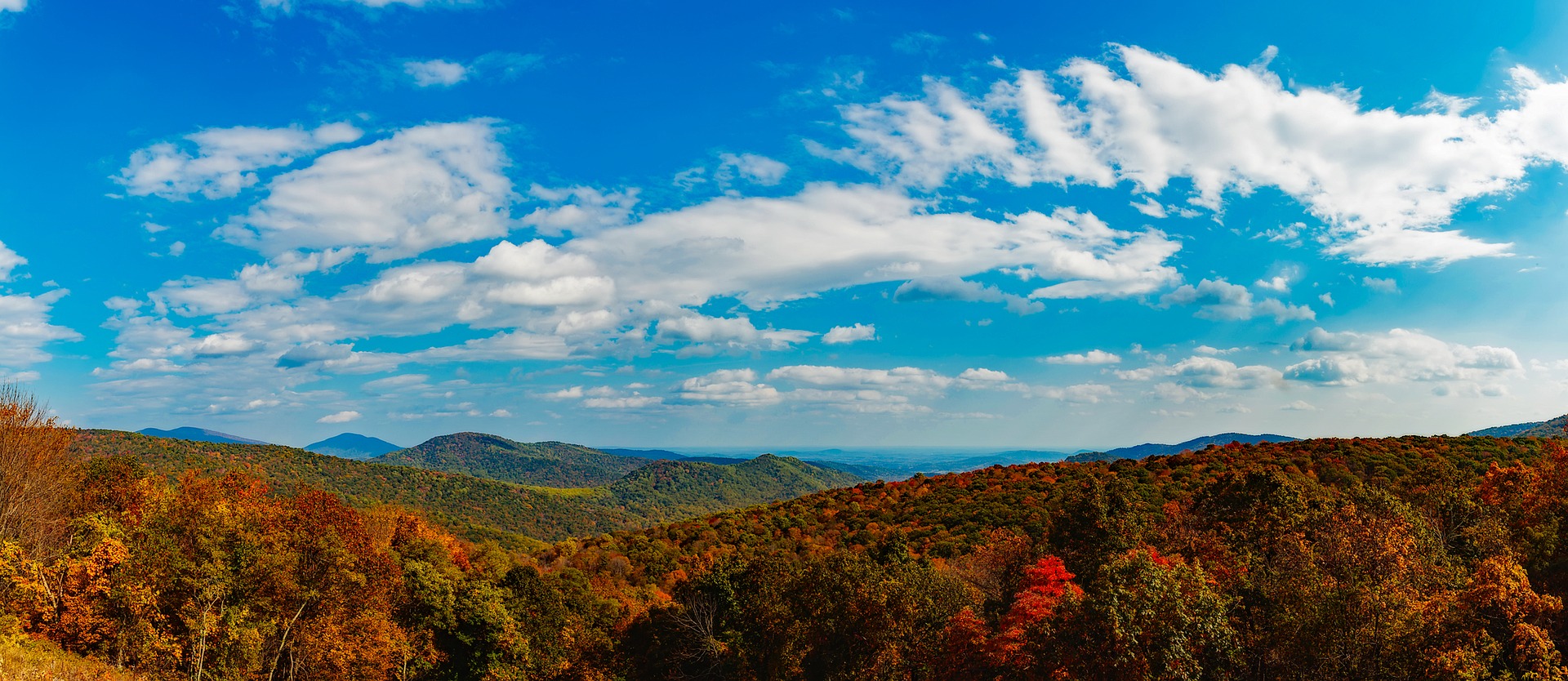 Virginia’s Blue Ridge Mountains.