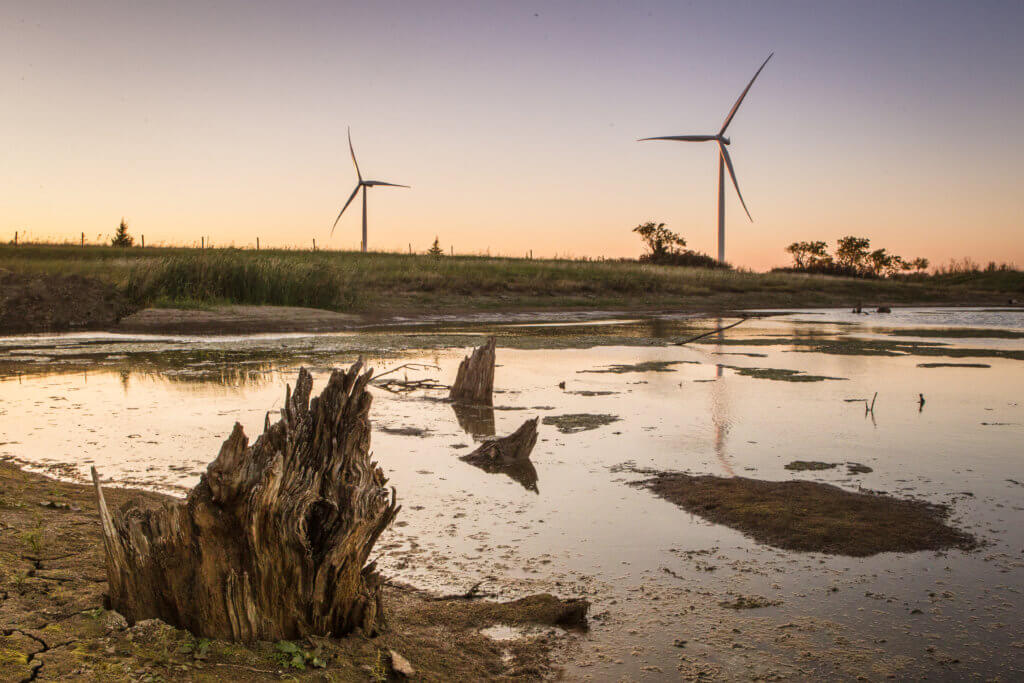 wind turbines and wetlands