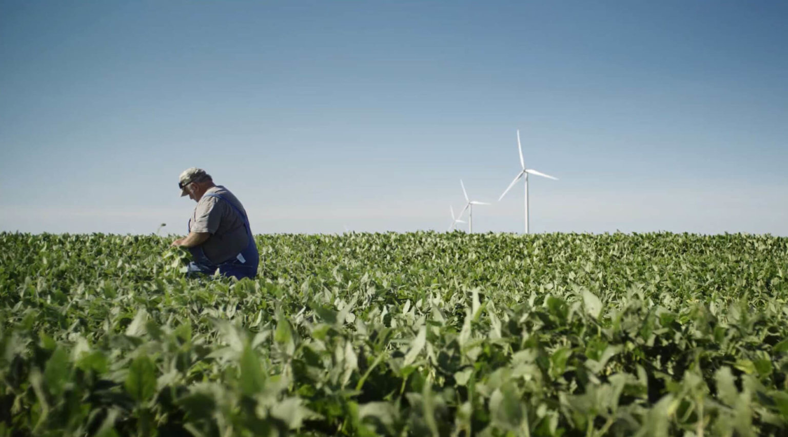 Illinois landowner