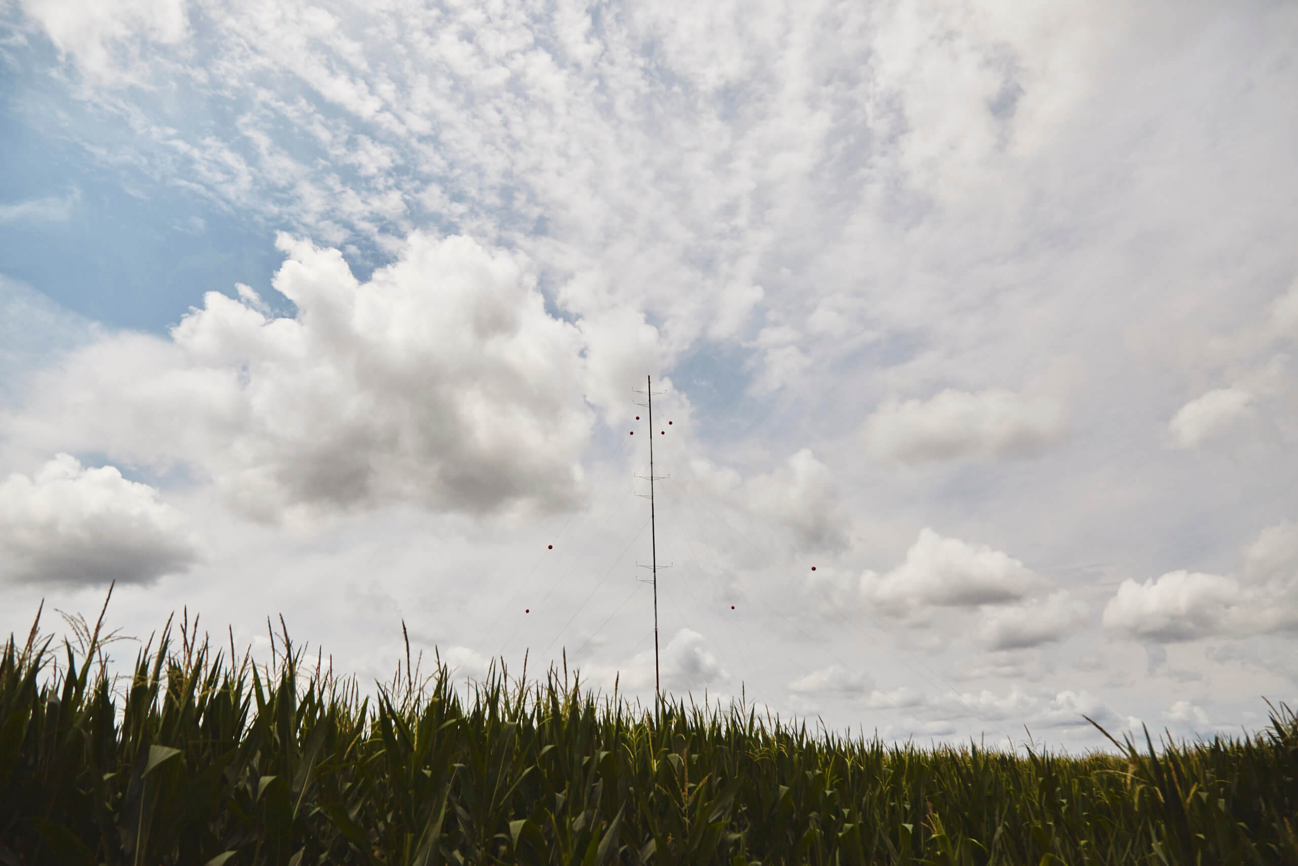 meteorological tower in a cornfield