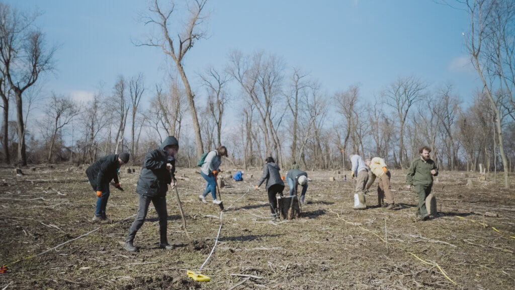 people planting trees