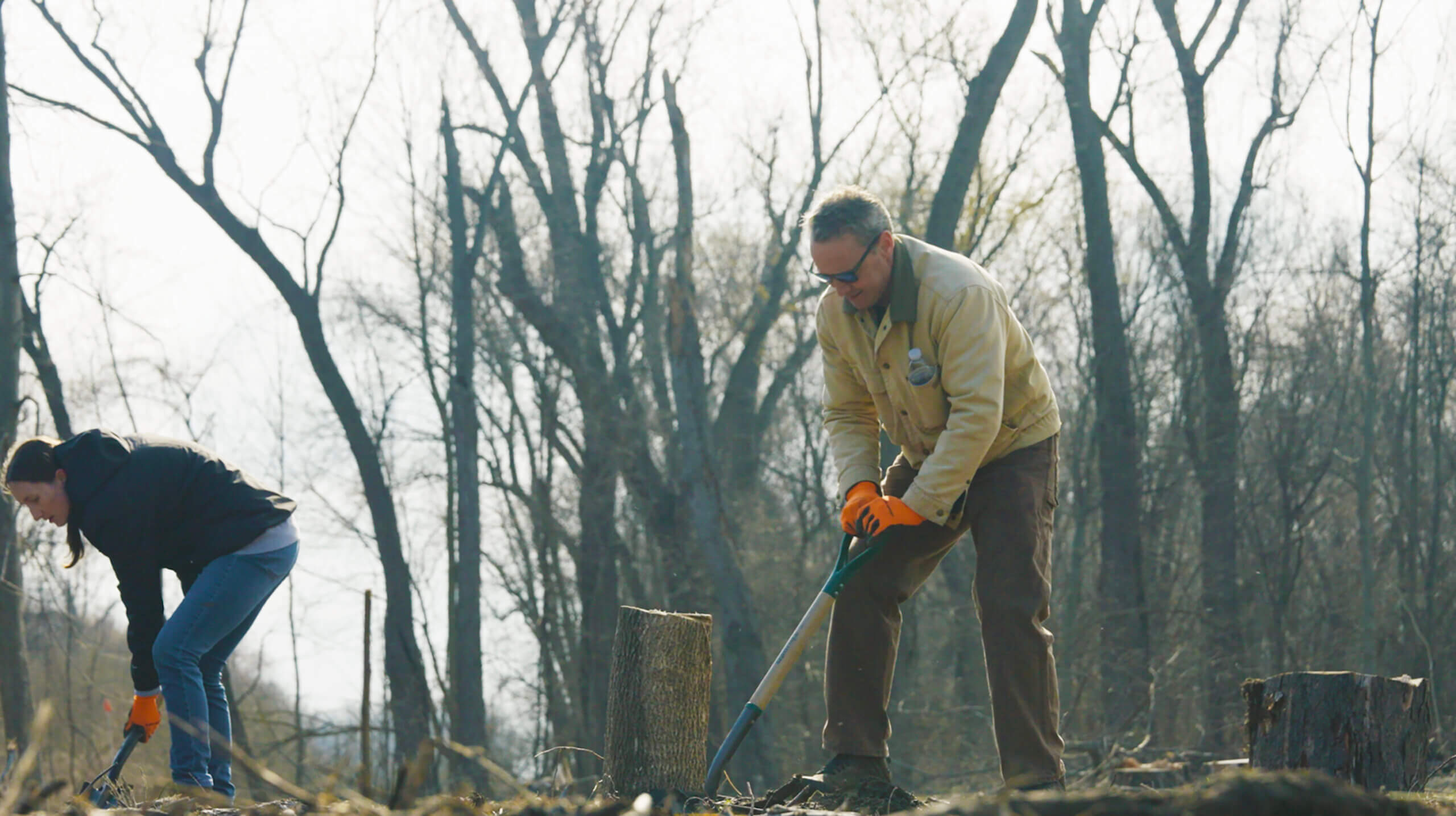 people planting trees