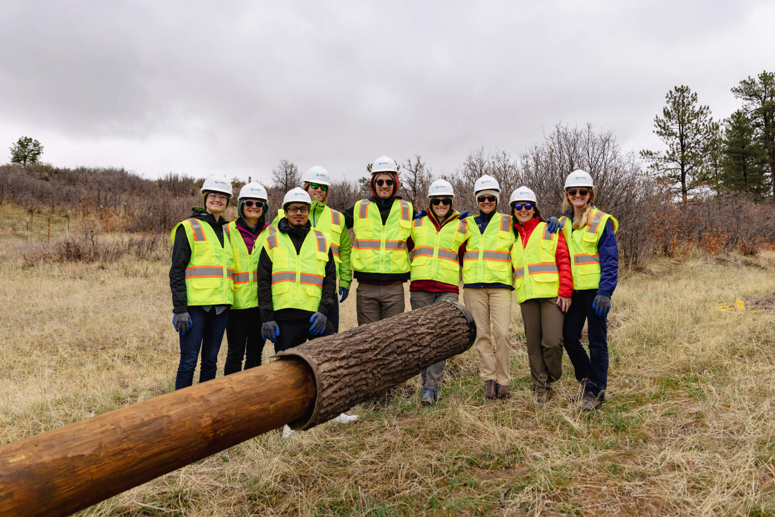 group of people in hard hats and hi-vis vests with artificial bat habitat