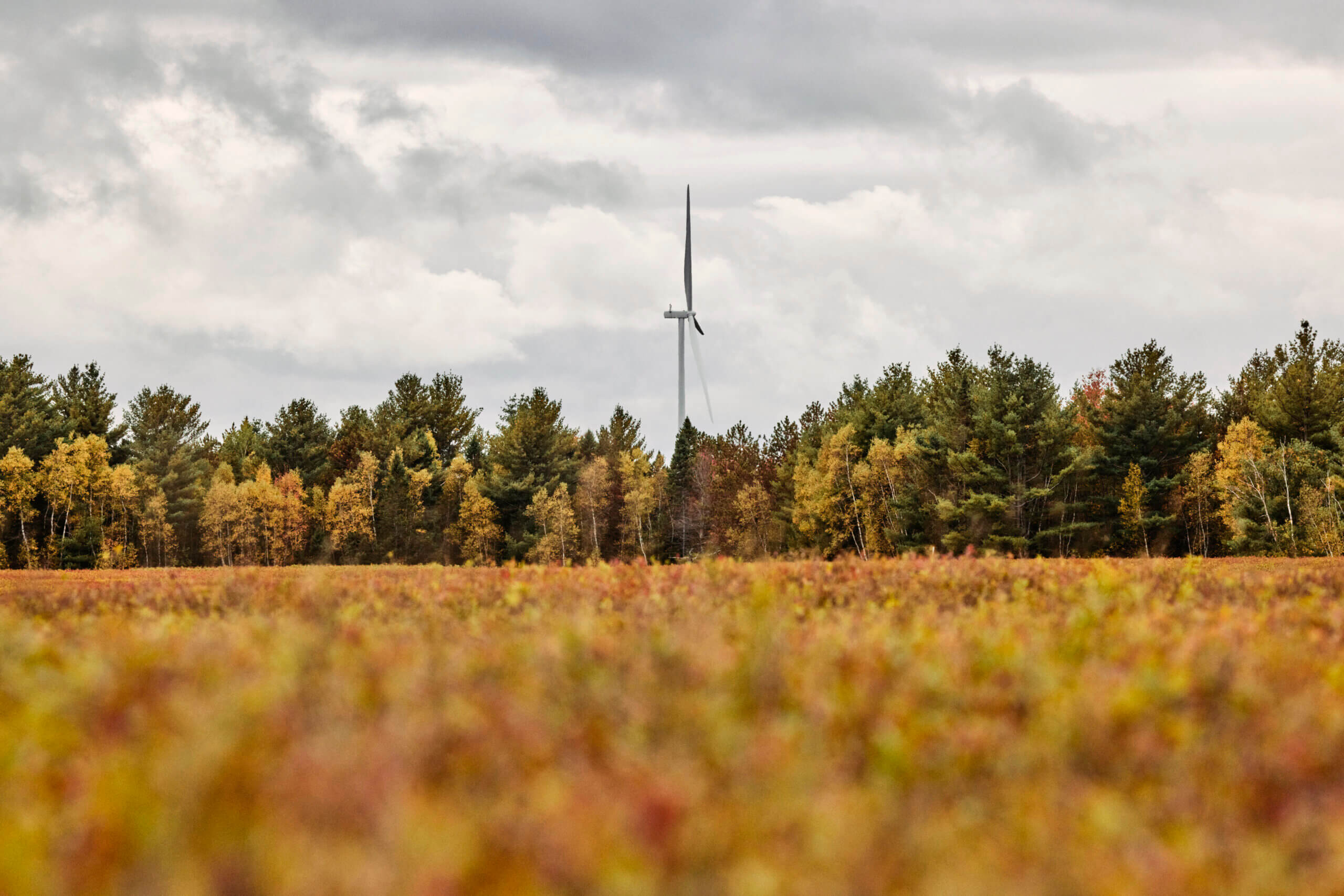 | Apex Clean Energy